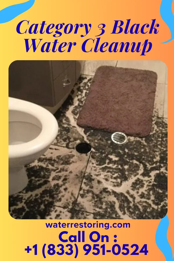 Category 3 Black Water Cleanup in Espy, PA