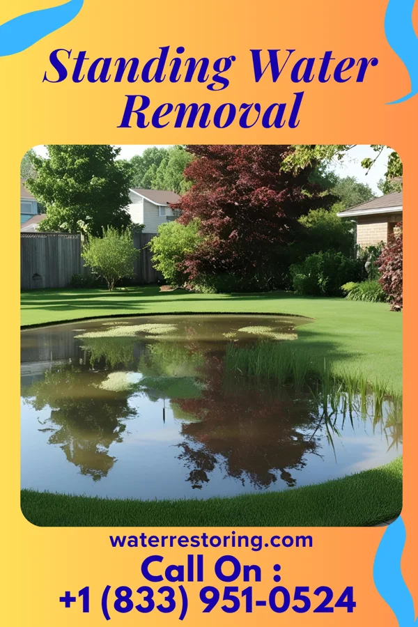 Standing Water Removal in Espy, PA